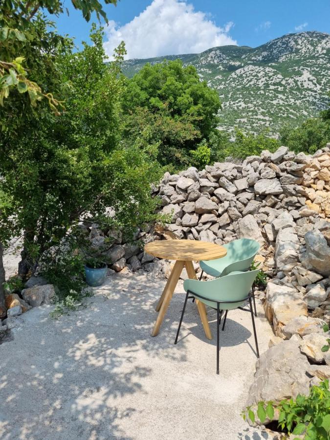 Rosemary Resort Cesarica Dış mekan fotoğraf