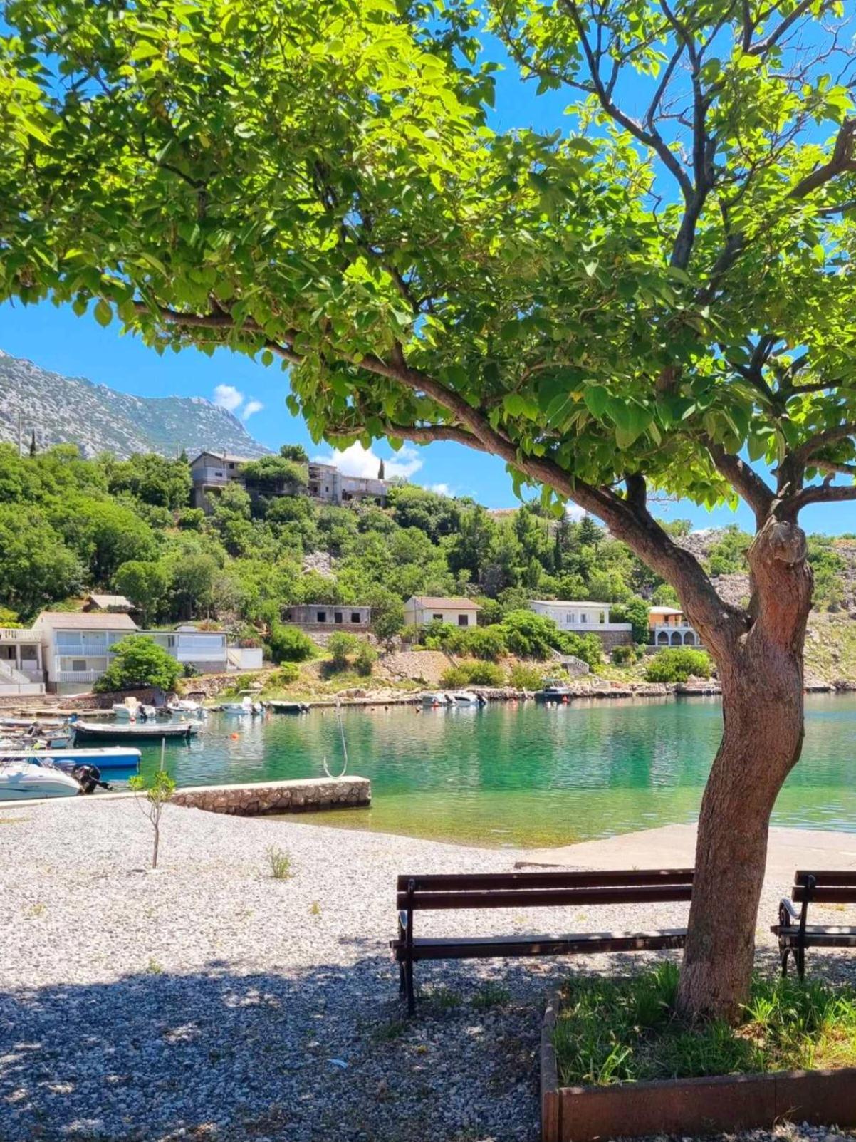 Rosemary Resort Cesarica Dış mekan fotoğraf